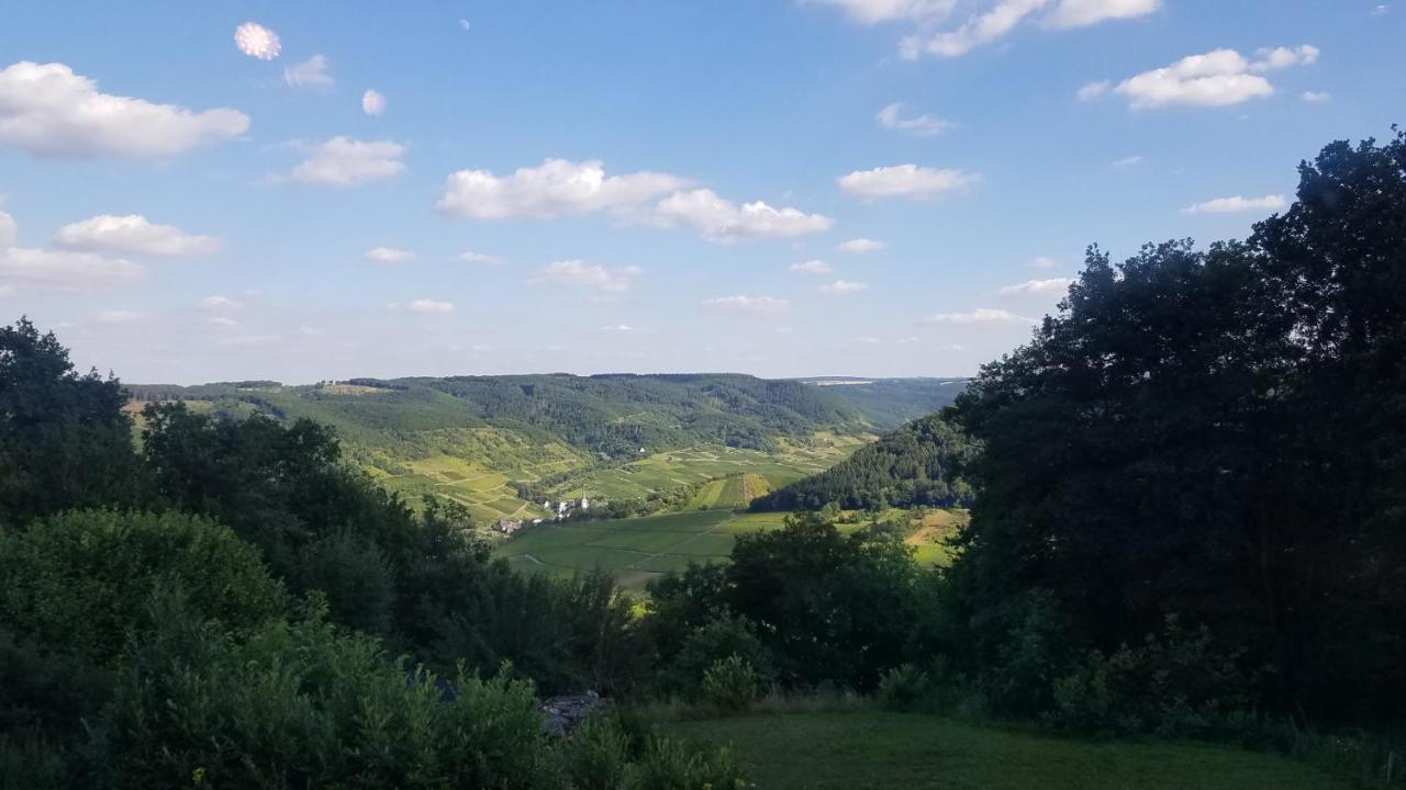 Ferienwohnungen Haus Talblick Valwig Exterior foto